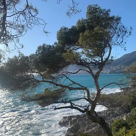 Castiello B&B Roquebrune-Cap-Martin Exterior foto